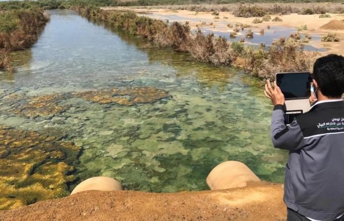 74 حالة نفوق لكائنات بحرية وتسجيل 23 مخالفة