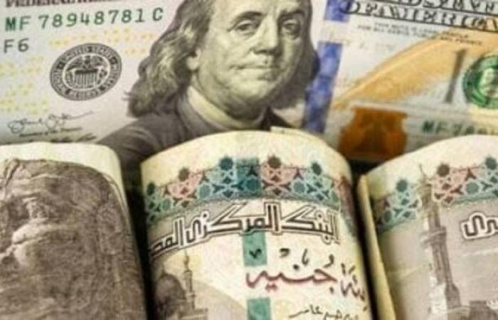 منظمة العمل الدولية: ارتفاع الأجور 1.8% بجميع أنحاء العالم في 2023