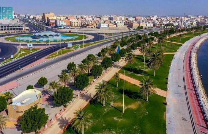 4000
كاميرا مراقبة 
خدمية بالدمام والقطيف