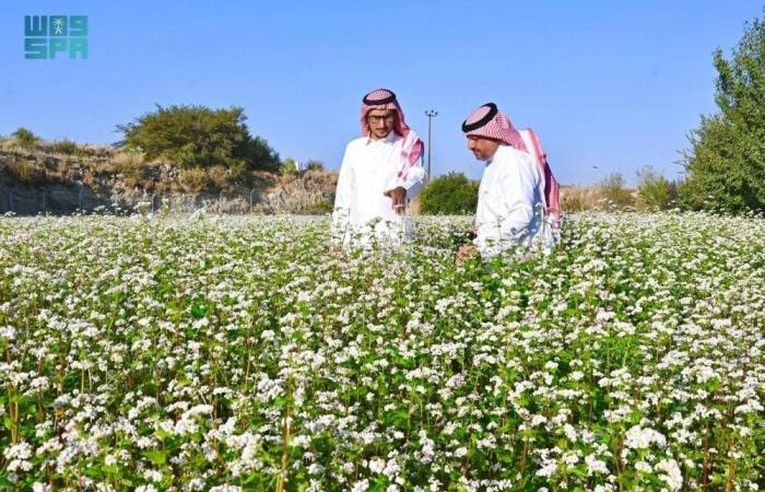 مزارع نموذجية لتدريب صغار المزارعين