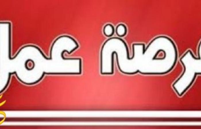 إعلان وزارة القوى العاملة عن 2350 فرصة عمل فى مصنع غبور للسيارات