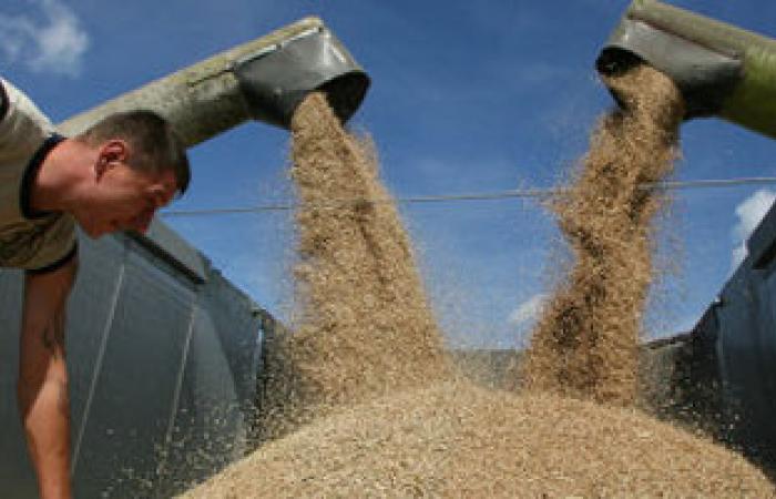 ارتفاع تكلفة واردات الجزائر من الحبوب 40.5% فى 4 أشهر