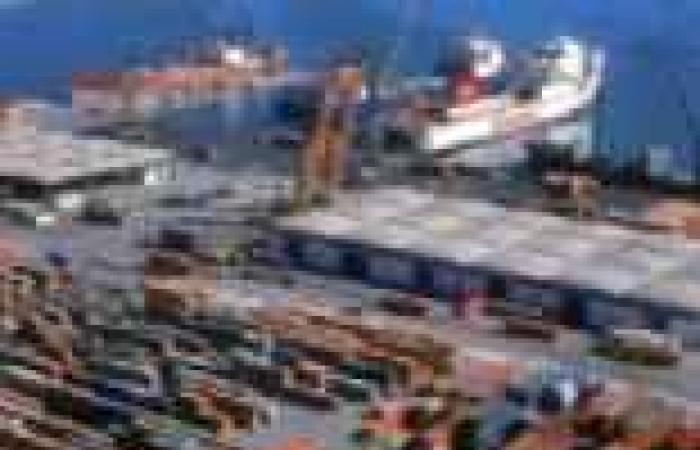 إحالة 28 عاملا بميناء الإسكندرية إلى التحقيق بتهمة الإضراب