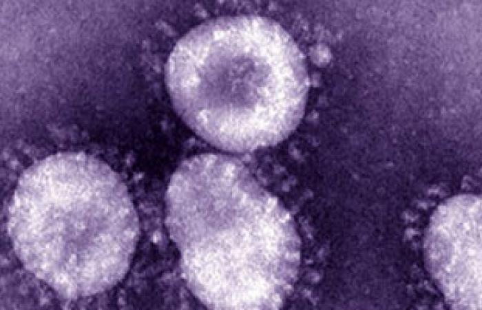 هل يتحول الفيروس التاجى خطر يداهم الوطن العربى؟