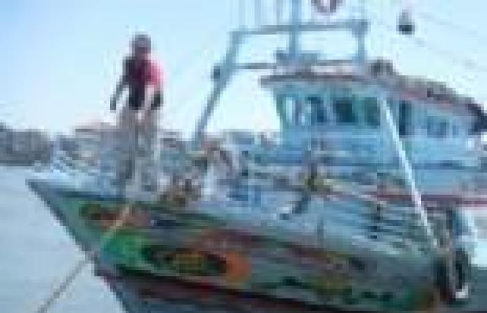 ترخيص مركبين في البحر الأحمر للصيد بالشانشولا لزيادة الثروة السمكية