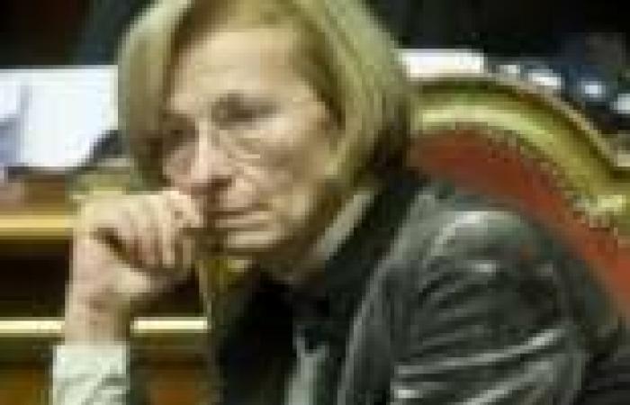 وزيرة خارجية إيطاليا: الاستبعاد الكامل للإخوان يعرقل "خارطة الطريق"