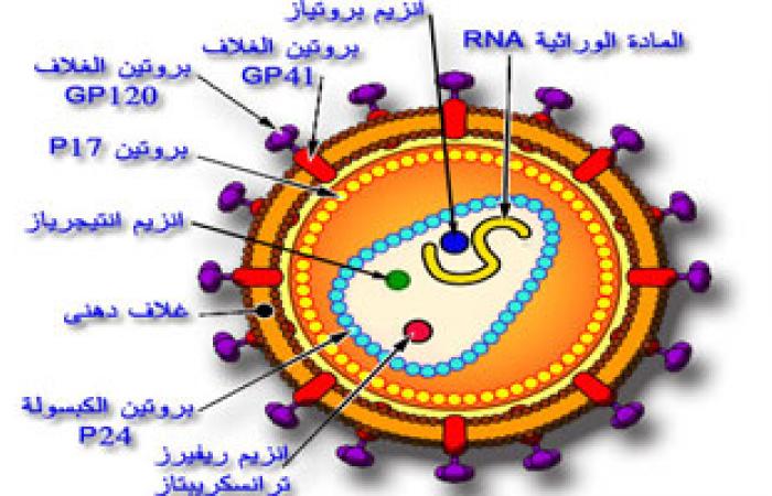 الأمم المتحدة: 35 ألف مريض إيدز فى اليمن