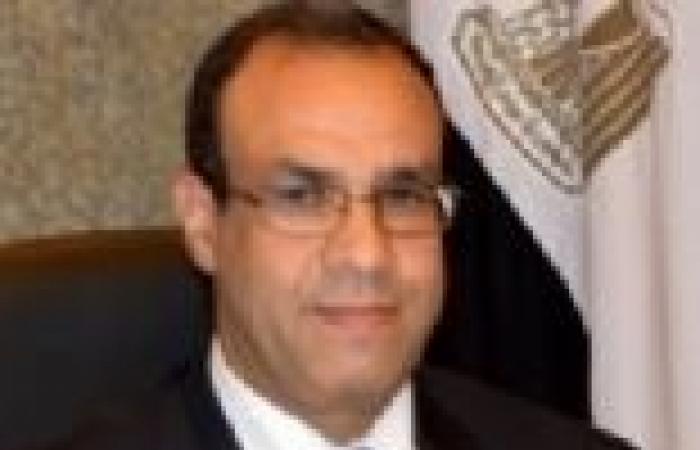 الخارجية: فهمي أمر بإصدار بيان يعبر عن استياء مصر من تصريحات "المرزوقي"