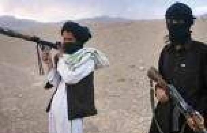 مقتل 29 عنصرًا من «طالبان» في عمليات عسكرية للجيش الأفغاني بقندهار وهيرات