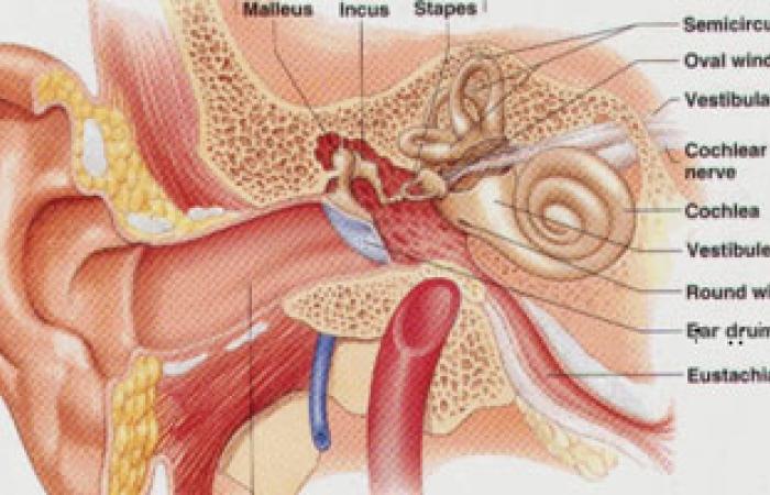 انسداد قناة إستاكيوس يصيب طفلك بآلام الأذن