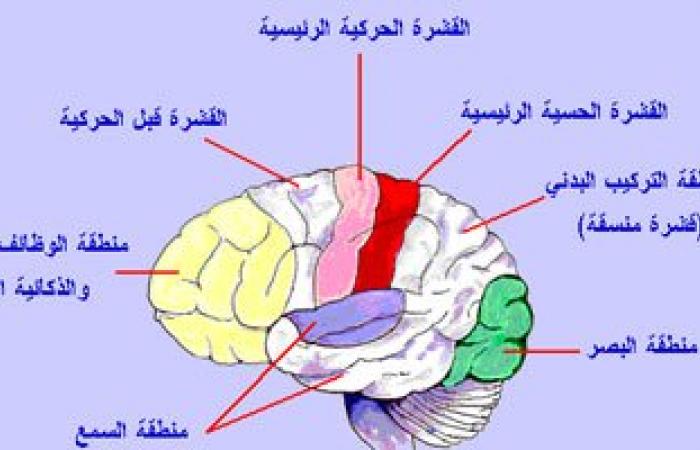 تعرف على أعراض الإصابة بالسكتة الدماغية