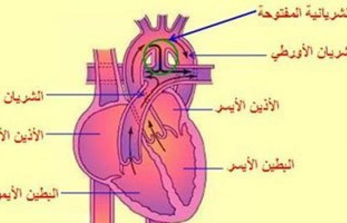 أطباء القلب: 60% من مرضى قصور عضلة القلب "مدخنين"