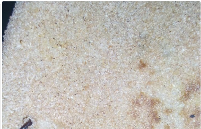 "واتس آب اليوم السابع": مواطن بإمبابة يعثر على حشرة برغيف خبز