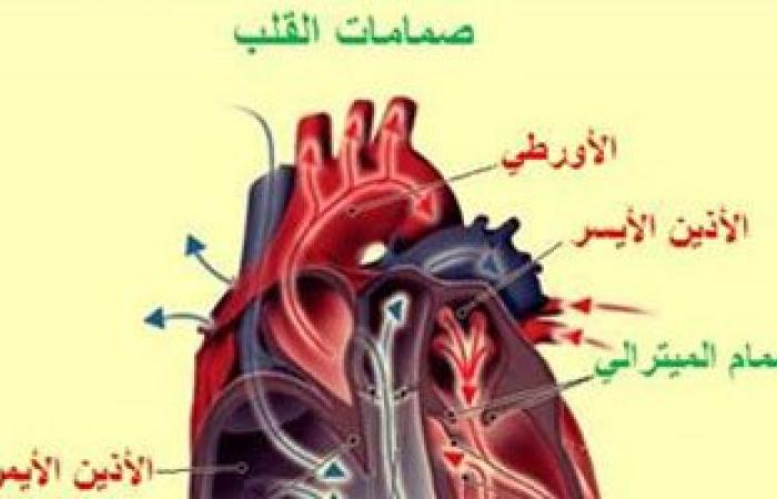 دراسة: بعض اختبارات الكلى أثبتت فاعليتها فى توقع أمراض القلب