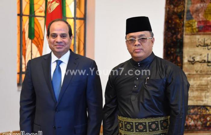 صور استقبال الرئيس السيسى لـ 11 سفيرا جديدا لدى مصر