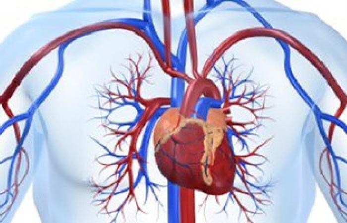 تحليل جديد يتنبأ باحتمالية الوفاة بأمراض القلب
