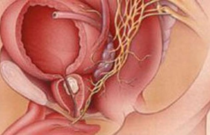 للرجل.. لو بتدخل الحمام كتير ابحث عن احتقان البروستاتا