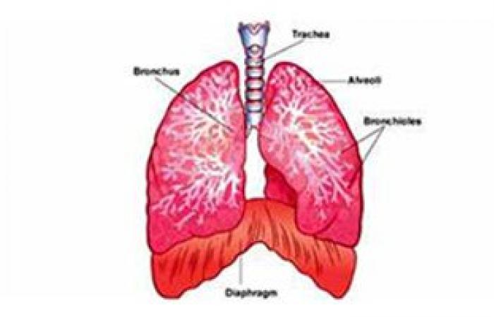 تفرق كتير.. سرطان الرئة يختلف بين المدخنين وغير المدخنين