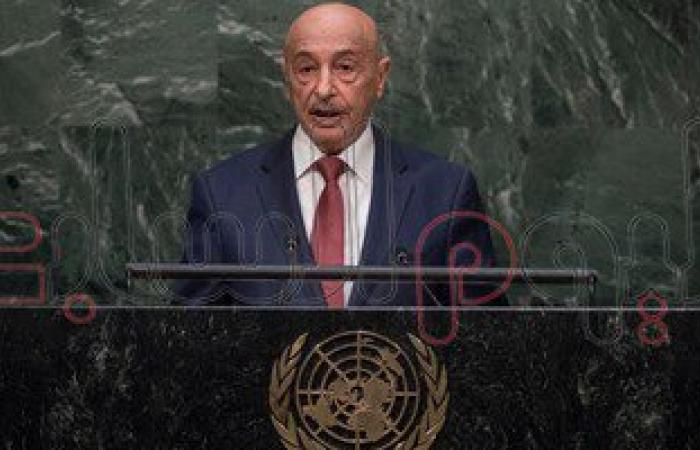 رئيس برلمان ليبيا: الإرهاب وحظر السلاح يهددان التحول الديمقراطى بالبلاد