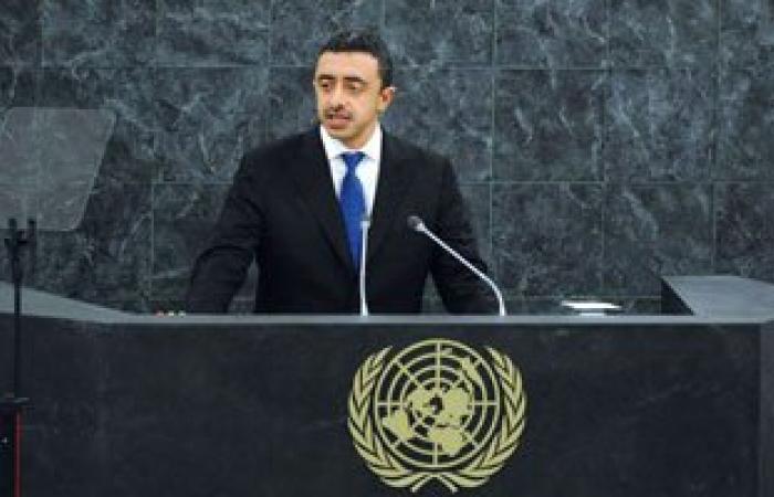 وزير خارجية الإمارات يطالب المجتمع الدولى بدعم مصر فى مواجهة الإرهاب