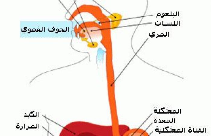 نام خفيف.. عادات النوم الخاطئة ترفع فرص تعرضك بارتجاع المرىء