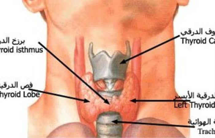 لو هتعمل تحليل الغدة الدرقية مش شرط تكون صائم.. واعرف أهم الفحوصات