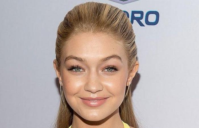 Gigi Hadid تواعد Zain Malik وتقضي عيد الشكر مع أسرتها