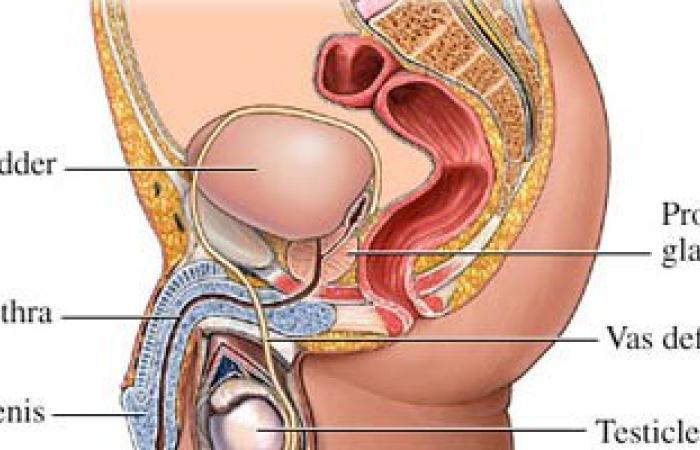 الأعراض النفسية للبروستاتا.. سرعة القذف وضعف الرغبة الجنسية والاكتئاب