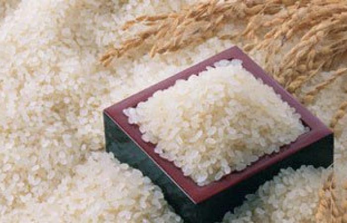 رئيس شعبة الأرز: ارتفاع سعر الطن بالسوق المحلى 250 جنيها