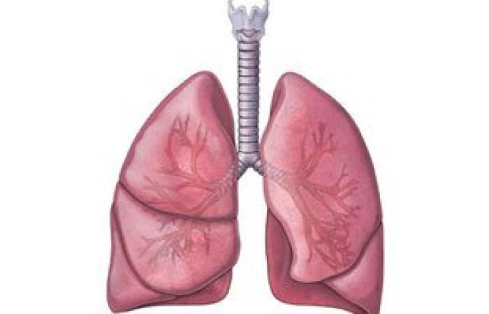 علماء يتوصلون إلى علاج جديد لمرض التليف الكيسى الرئوى