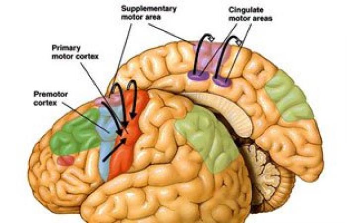 أعراض تلف الأعصاب