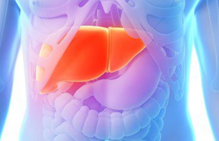 أطباء الكبد يطالبون بسرعة اعتماد عقارى "زيباتيير" و"ابكلوزا" لعلاج فيروس C