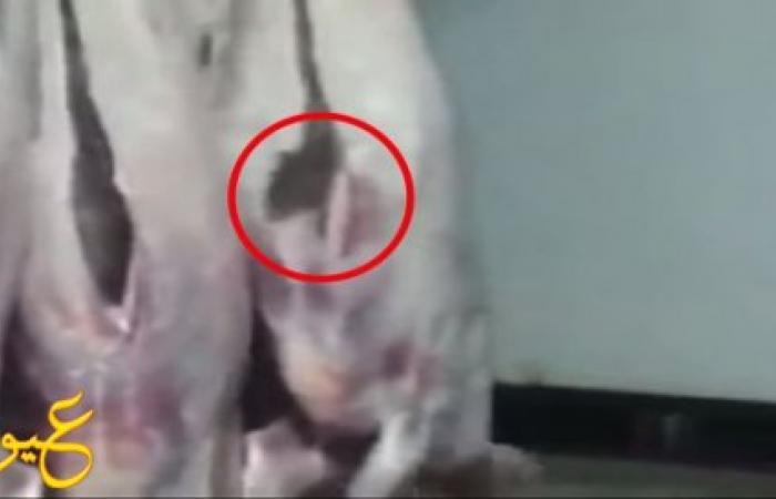 بالفيديو | شاهد ماذا خرج من بطن خروف مذبوح في مطعم ، يقدم الوجبات للزبائن ! لن تصدق ما ستراه