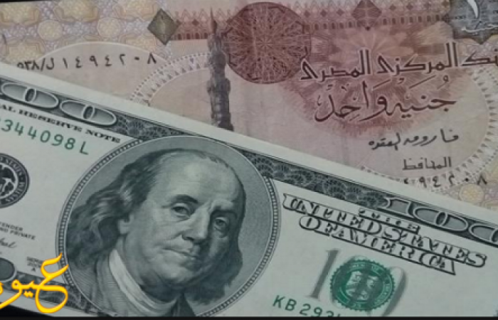 "الدولار" يستقر في السوق السوداء عند 13.70 جنيه ...