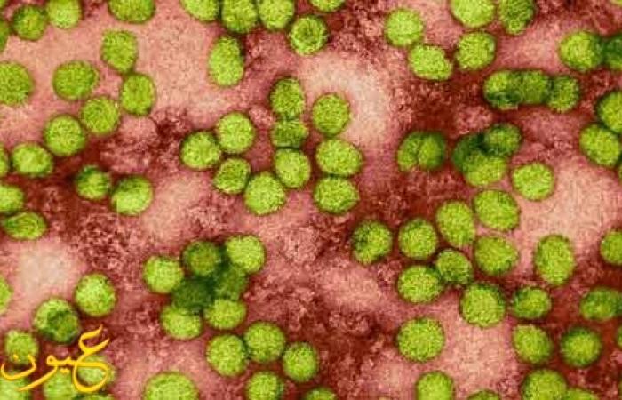 مؤتمر بواشنطن: العالم يودع "فيروس سي" والتليف الكبدي خلال عامين بـ"قرص واحد يوميًا" لمدة ١٢ أسبوعًا