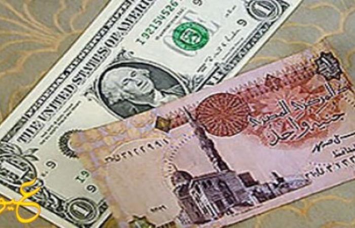 مصرفيون : الدولار سيصل لسعر جنوني جديد ...