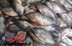 بالفيديو || السمك يغرق في موجة غلاء الأسعار ويرتفع لسعر جنوني غير مسبوق