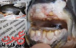 بالصور || سائح ايرلندى ينجح فى اصطياد سمكة تمتلك أسنان تشبه الاسنان الآدمية