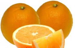 فوائد البرتقال - أهمية البرتقال لصحتك