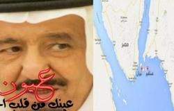 تحديد أولى جلسات دعوى تنفيذ حكم سعودية "تيران وصنافير" في 5 مارس الجاري