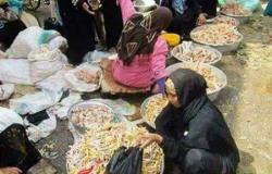 بالفيديو || مصريون يأكلون هياكل الفراخ “أكل الكلاب” بسبب غلاء أسعار الدواجن