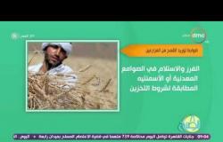 8 الصبح - تقرير |  يوضح ضوابط توريد القمح من المزارعين