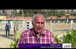 الأخبار - مهرجان لإحياء التراث ورعاية الخيل العربي بإستاد القاهرة