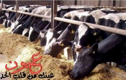 السودان تحظر دخول السلع الزراعية و الحيوانية المصرية إلى أراضيها