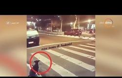 8 الصبح - رامي رضوان يعرض فيديو لـ " كلب " يحترم إشارات المرور