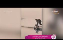 السفيرة عزيزة - | المصريين يتصدوا للإرهاب | فيديو مواجهة عم صلاح الموجي لإرهابي مارمينا