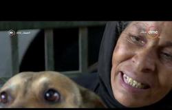 مساء dmc - استجابة للبرنامج مؤسسة "مصر الخير" تتبنى حالة السيدة " هدى " أخذت كلاب الشارع أهلاً لها