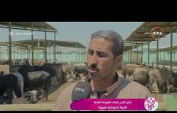 السفيرة عزيزة - تقرير عن " أرض الخير تتبنى مشروعات لتنمية الثروة الحيوانية بأسيوط "