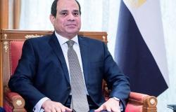 السيسي يؤكد سعي مصر وجنوب السودان للدخول في شراكة استراتيجية