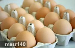 نقابة الفلاحين تحذر من ارتفاع أسعار البيض في الفترة المقبلة